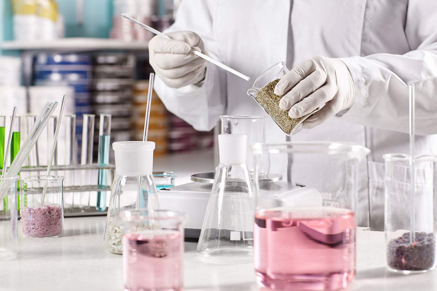 Introduction to in the Food Industry IEH Academy