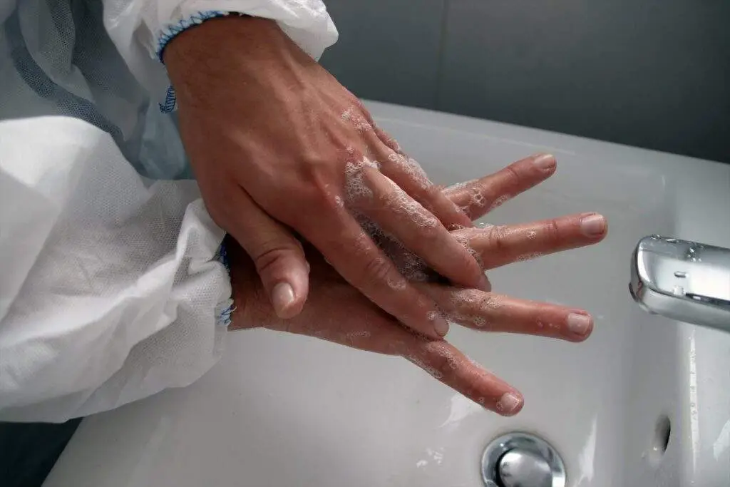 Handwashing and Employee Hygiene
