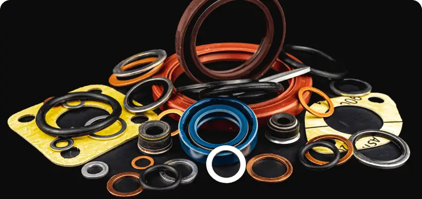 Several gaskets manufactured for food and beverages.