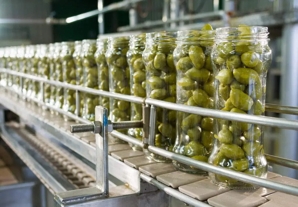 Olives food processors for validation and verification.