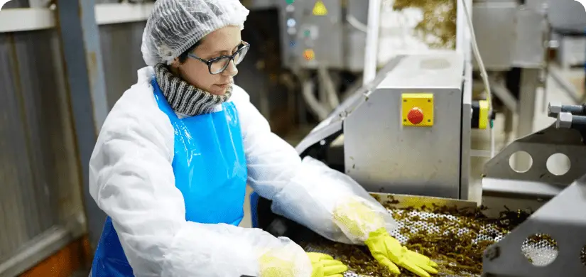 Food-Safety-and-Quality-Culture