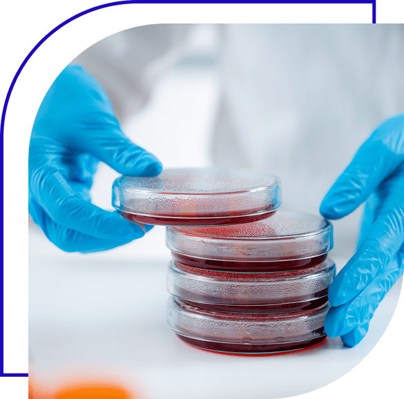 Chemist handling plates.