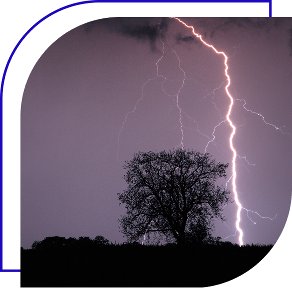 Lighting strike on tree at dusk.