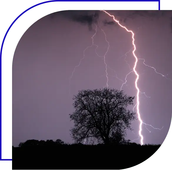 Lighting strike on tree at dusk.