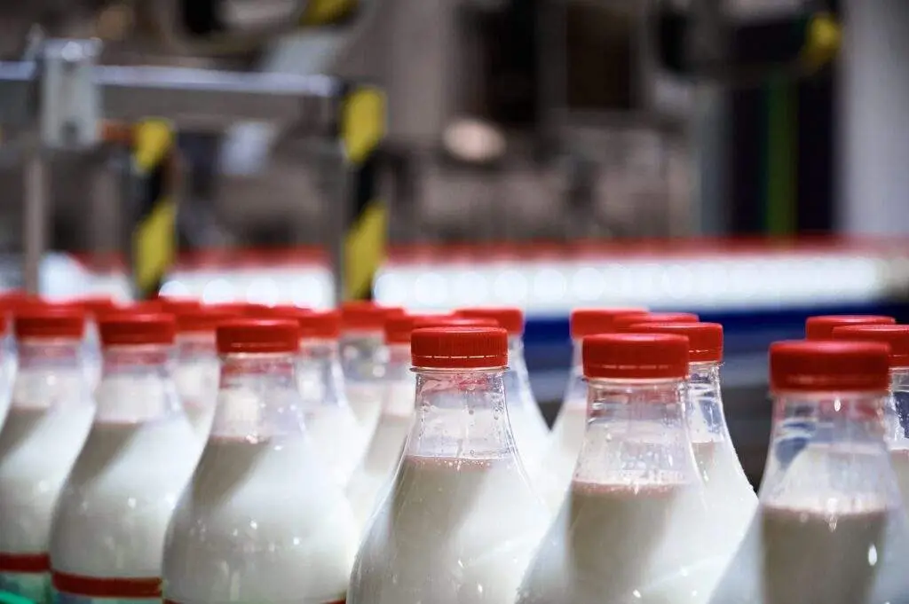 Pasteurized Milk in assembly food line.