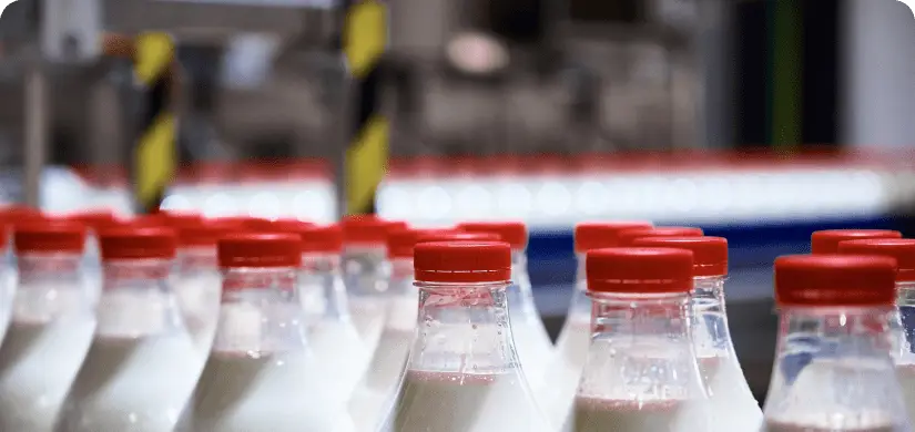 Pasteurized Milk in assembly food line.