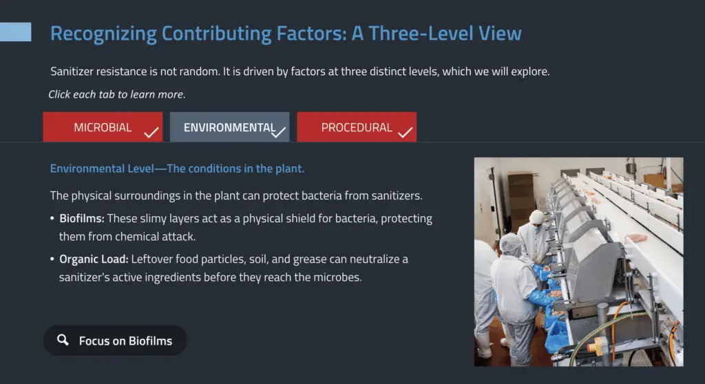 Course Screenshot 02.