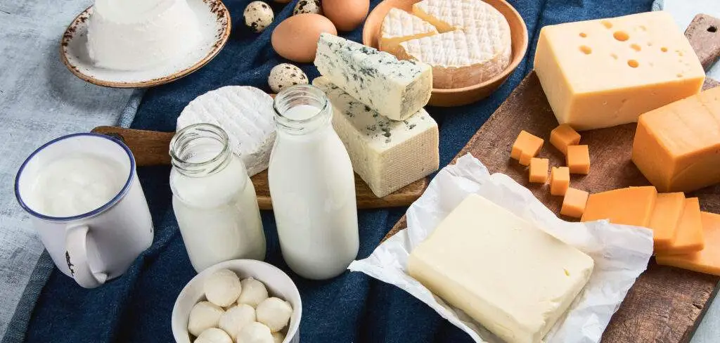 Different types of dairy products.