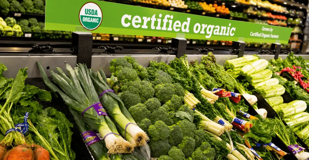 Grocery store isle with organic vegetables.