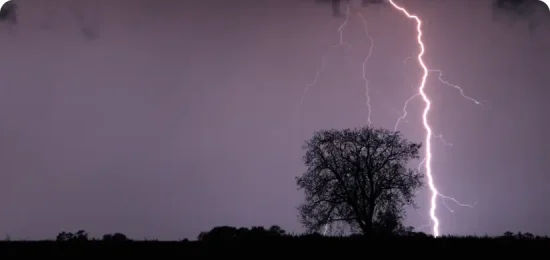 FSMA Whistleblower Provision-rounded