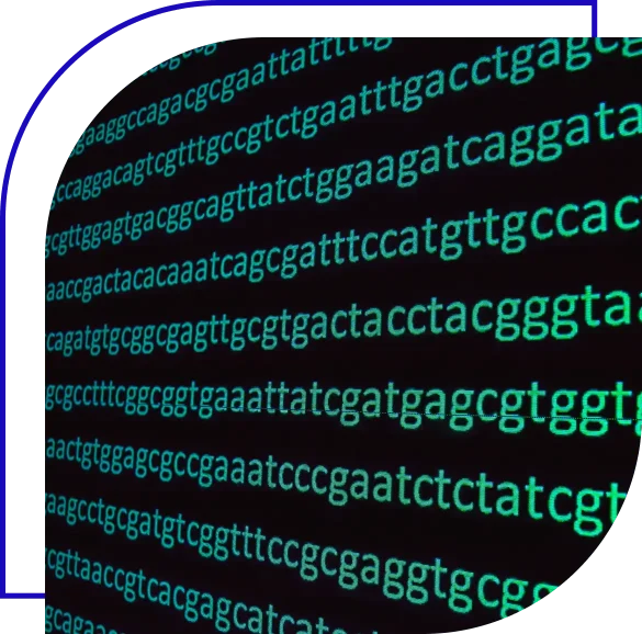 Applications of Whole Genome Sequencing in Food Production