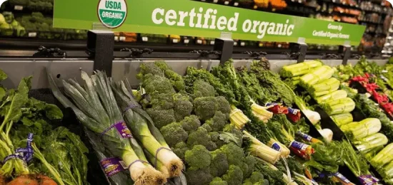 Grocery store isle with organic vegetables.